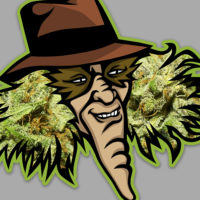 The Weed Plastic Man Villain Sticker!